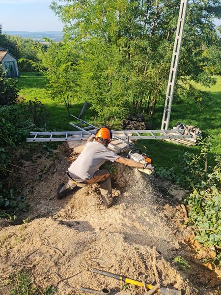 Láncfűrészes gatterolás domboldalon, kilátással a völgyre